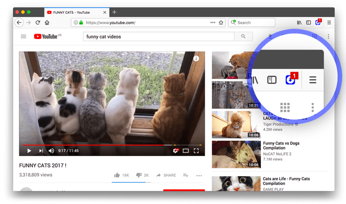 ant video downloader for chrome mac