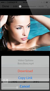 Any Video Downloader Pro 8.5.7 download the last version for iphone